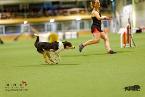 1T0A4988_DxO