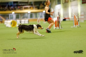 1T0A4990_DxO