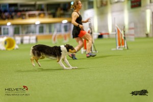 1T0A4991_DxO