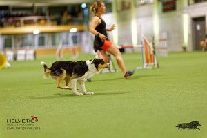 1T0A4992_DxO