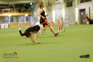 1T0A4993_DxO