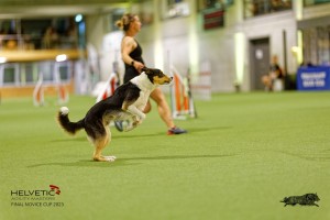 1T0A4994_DxO