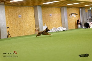 1T0A5071_DxO