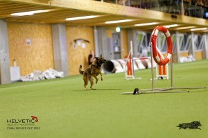 1T0A5081_DxO