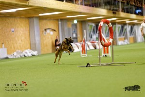 1T0A5082_DxO