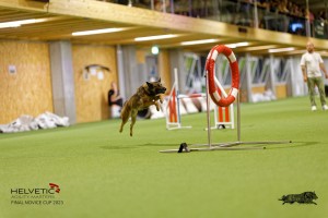 1T0A5083_DxO