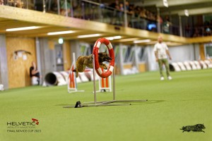 1T0A5087_DxO