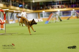 1T0A5093_DxO