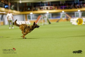 1T0A5095_DxO