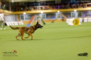 1T0A5096_DxO