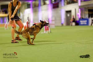 1T0A5101_DxO