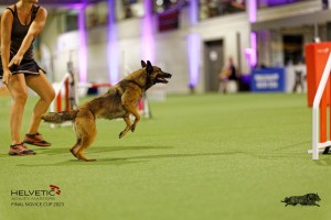 1T0A5102_DxO