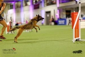 1T0A5103_DxO