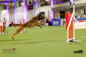 1T0A5104_DxO