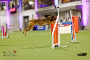 1T0A5108_DxO
