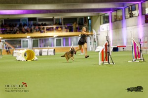 1T0A5126_DxO
