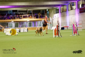 1T0A5128_DxO