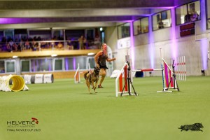 1T0A5131_DxO