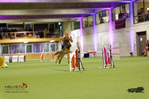 1T0A5135_DxO