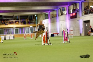 1T0A5136_DxO