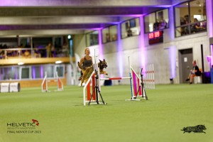 1T0A5139_DxO
