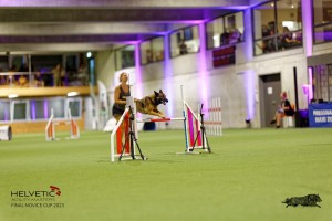 1T0A5141_DxO