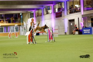 1T0A5143_DxO