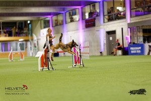 1T0A5144_DxO