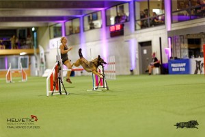 1T0A5145_DxO