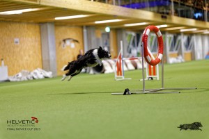 1T0A5241_DxO
