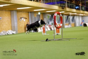 1T0A5242_DxO