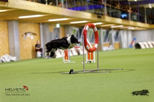 1T0A5243_DxO