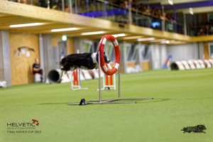 1T0A5244_DxO