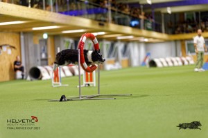 1T0A5245_DxO