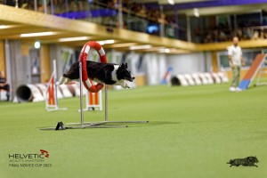 1T0A5246_DxO