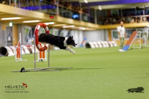 1T0A5247_DxO