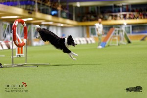 1T0A5249_DxO