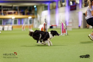 1T0A5258_DxO