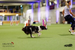 1T0A5259_DxO
