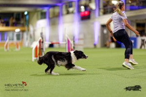 1T0A5260_DxO