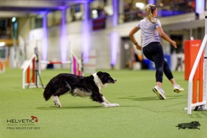 1T0A5261_DxO