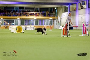 1T0A5291_DxO