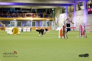 1T0A5293_DxO