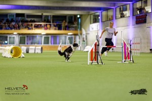 1T0A5295_DxO