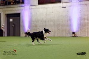 1T0A5327_DxO