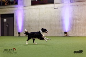 1T0A5328_DxO