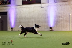 1T0A5329_DxO