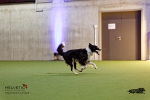 1T0A5337_DxO