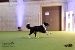 1T0A5339_DxO