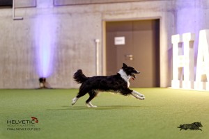 1T0A5340_DxO